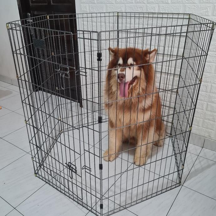 Pagar anjing sekat kucing pagar kelinci tinggi jumbo xxl ORIGINAL