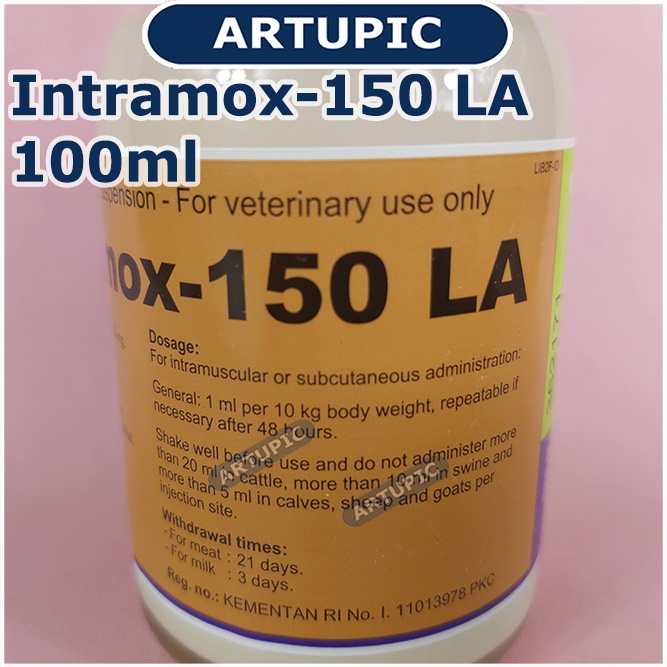 Intramox-150 LA 100 ml Amoxycillin LA Sapi Kambing Ayam Babi Domba Anjing Kucing Obat infeksi pernafasan pencernaan Antibiotik Long Acting bakterisidal Ecoli Salmonela