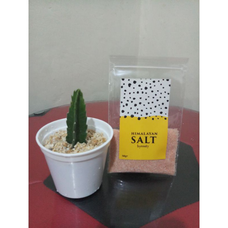 

GARAM HIMALAYA / HIMSALT 50GR