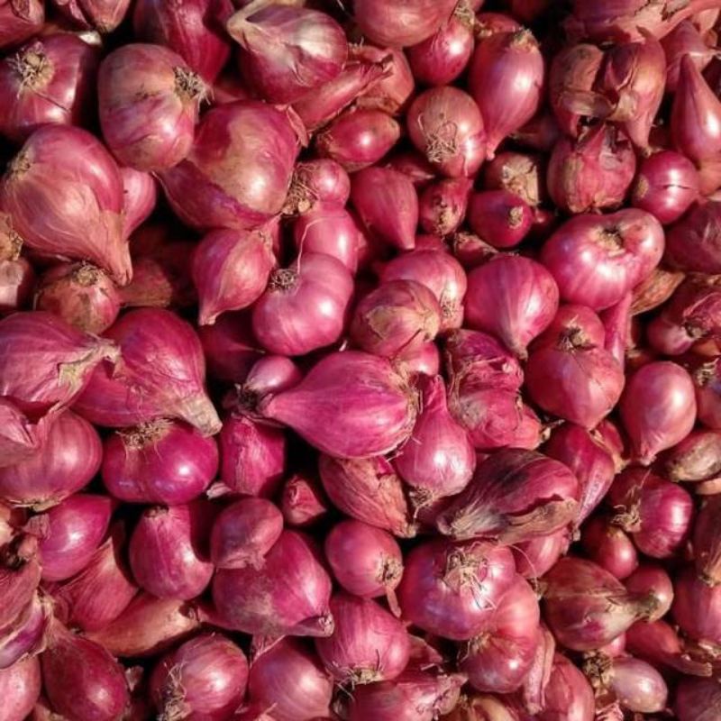 

BAWANG MERAH BREBES