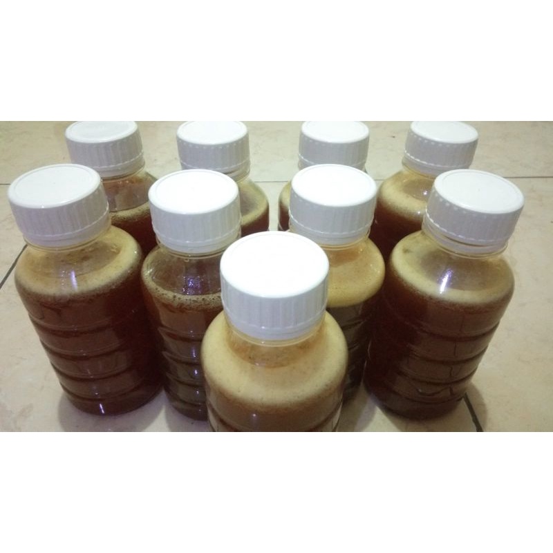 

Madu Asli Hutan Atambua, NTT