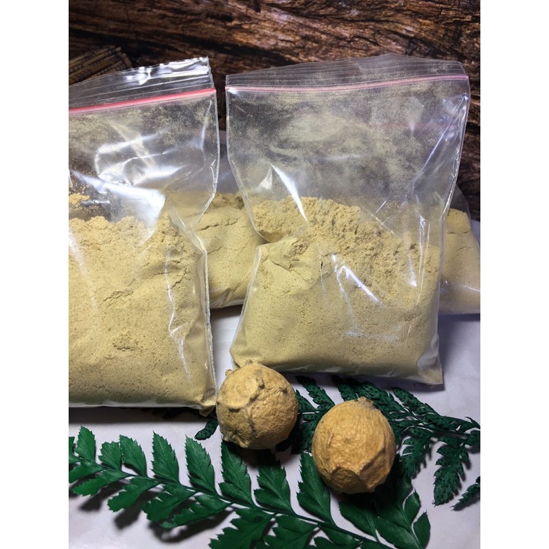 

Buah Manjakani / Majaan Bubuk (Serbuk) Asli alami Oak galls Powder Pure