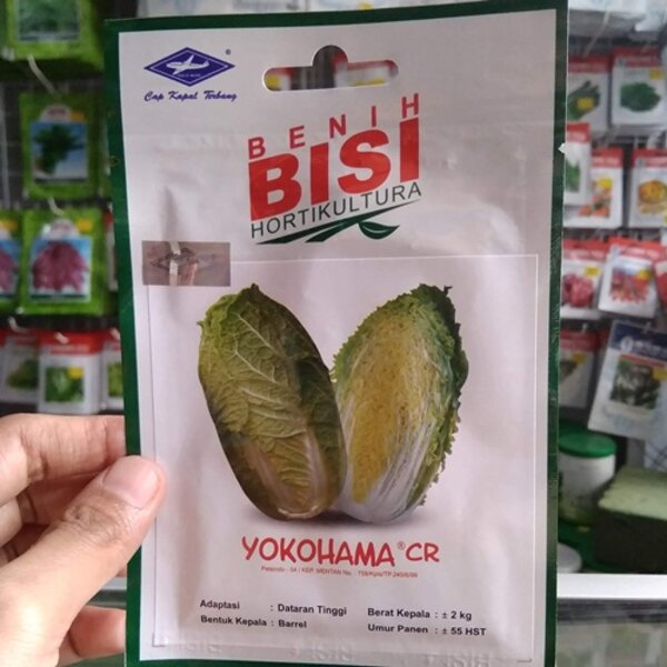 Jual Benih Bibit Sawi Putih Yokohama Cr Bisi Biji Tanaman Sayur