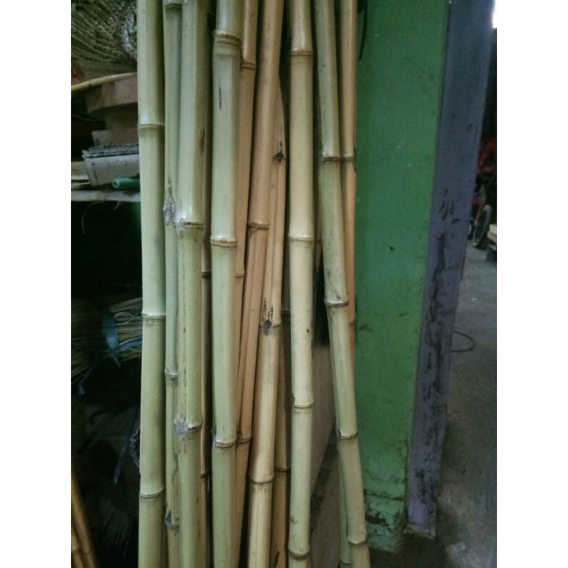 Tongkat bambu cendani lurus diameter 2cm panjang 200cm