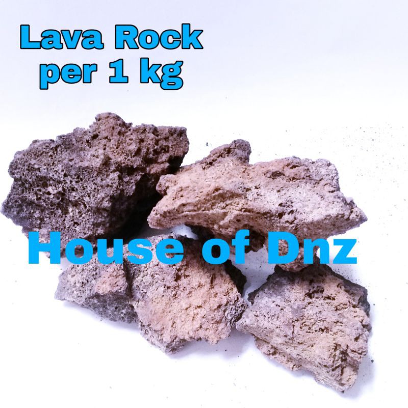 Batu Lava Rock Batu Aquascape Lava Rough Batu Dekorasi Aquarium Lavarock batu Gombong