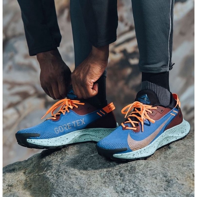 Sepatu Nike Pegasus Trail 2 GORE-TEX Blue