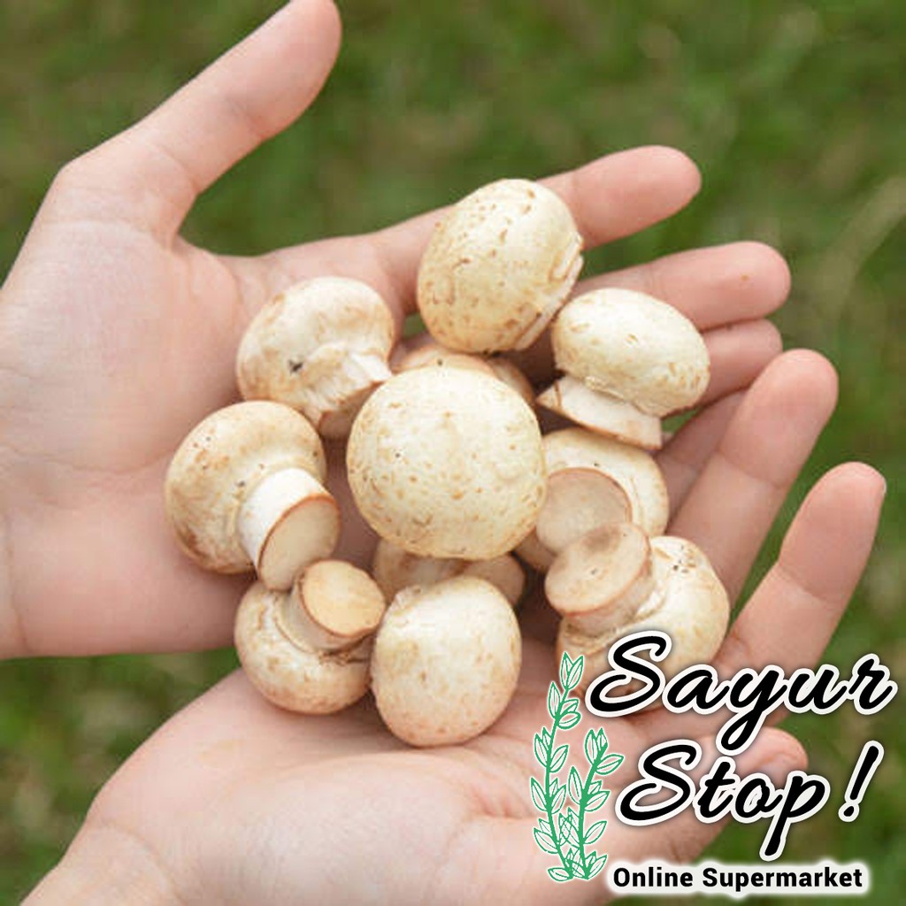 

Sayur Stop Jamur Champignon Jamur Kancing 250 gram