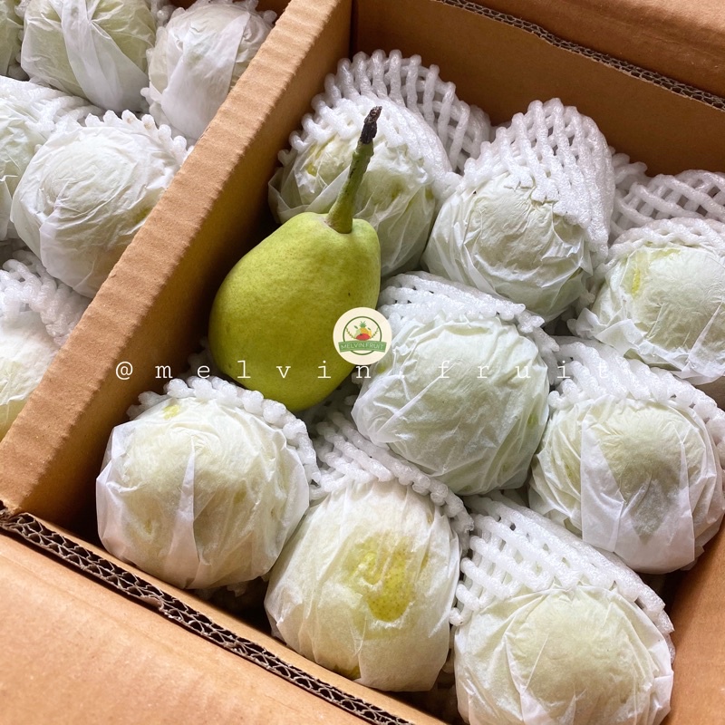 

Pear Xianglie Chinese fresh