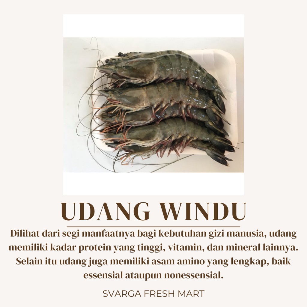 

Udang Windu