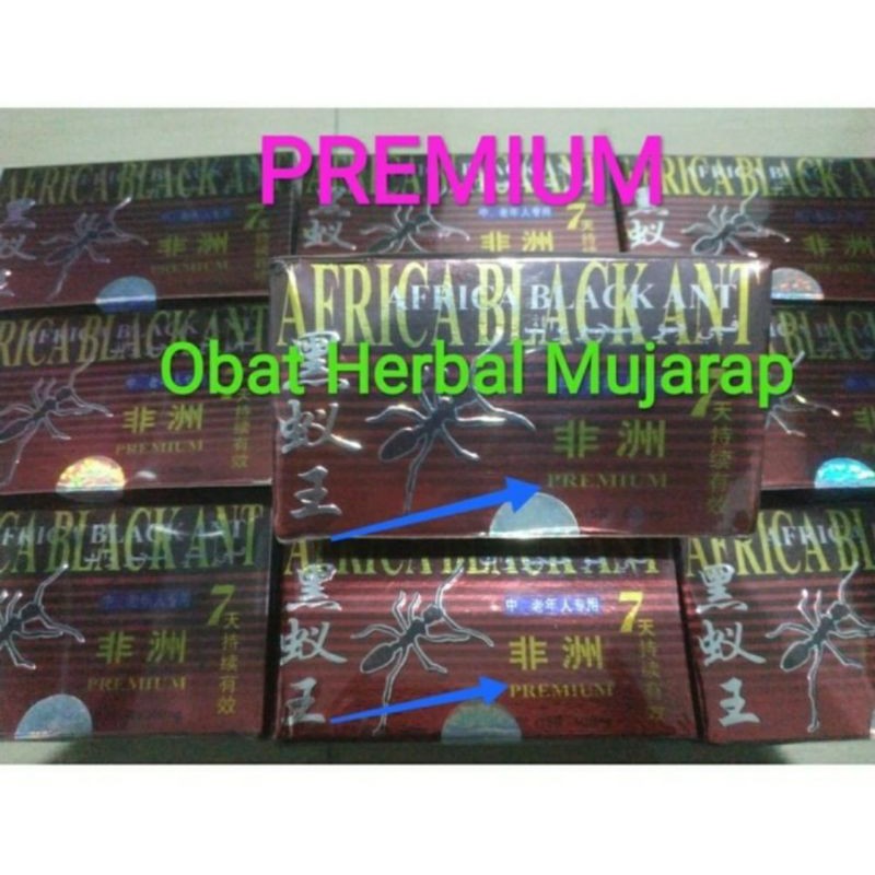 Semut Afrika Premium / Semut Hitam Premium Original / Semut Hitam Original / Black Semut Ant Hitam