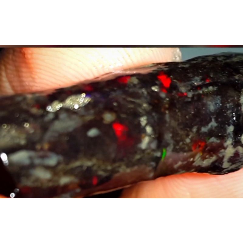 KALIMAYA SEMPUR JARONG NATURAL #3