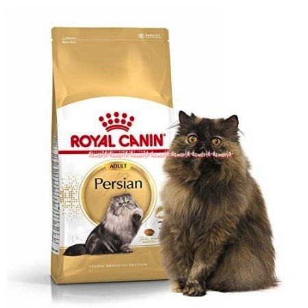 Royal Canin Adult Persian Cat Food 2kg Makanan Kucing Anggora