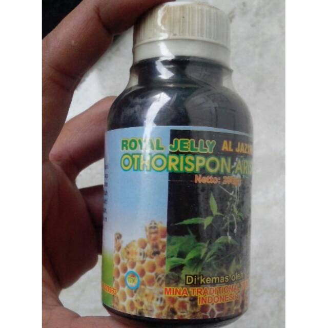 

MADU ROYAL JELLY " AL JARIZI" OTHORISPON ARISTATUS UNTUK MENGOBATI KENCING BATU