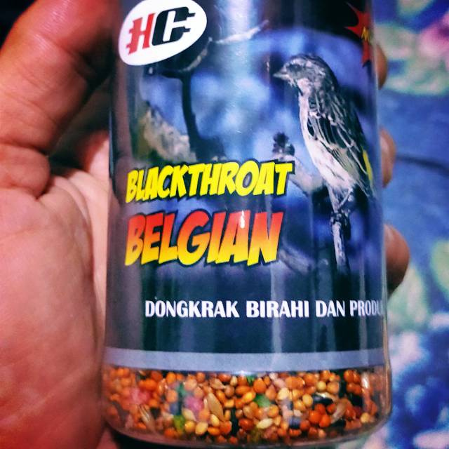 

HG Blackthroat Belgian