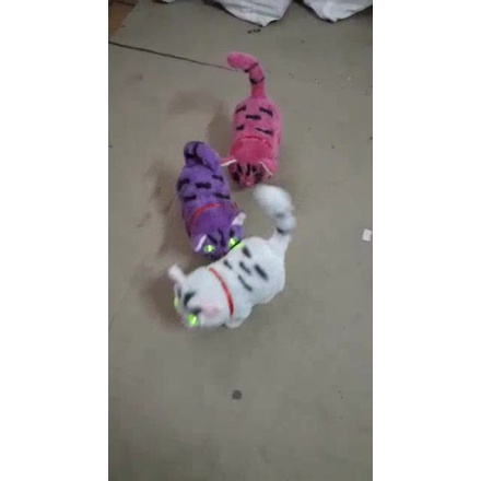 COD mainan boneka kucing nyala dan bisa jalan harga satuan