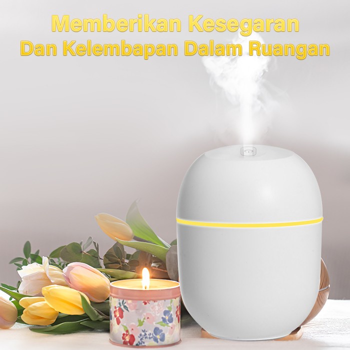 Penyegar Udara Humidifier Air Pelembab Udara Portable Mini Humidifier