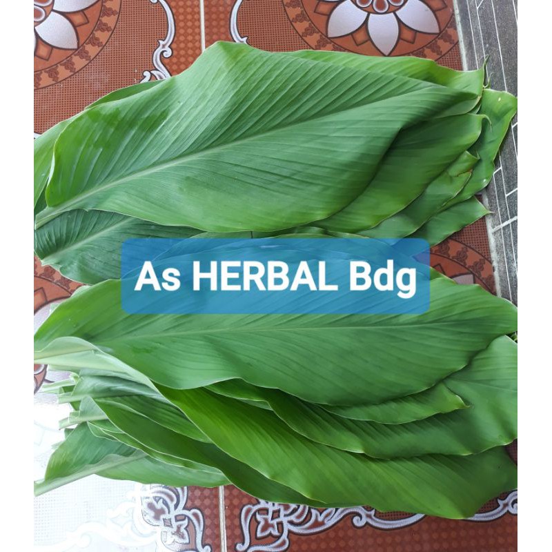 

Daun kunyit segar daun kunir 1 kg-az