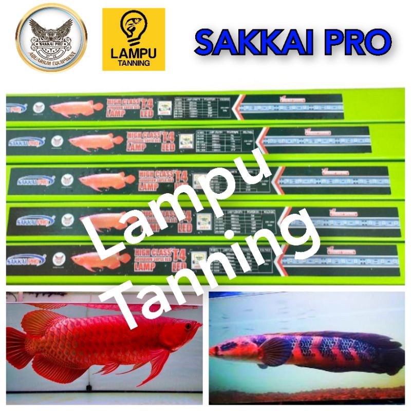Lampu Tanning SAKKAI PRO T4 SR 800/600
