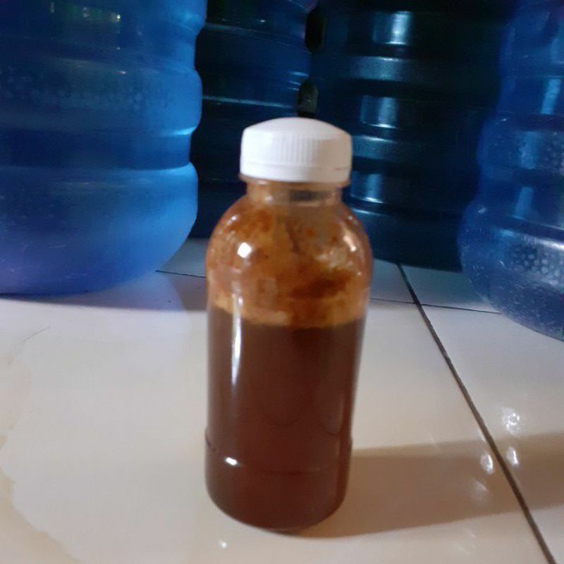 

Madu klanceng asli