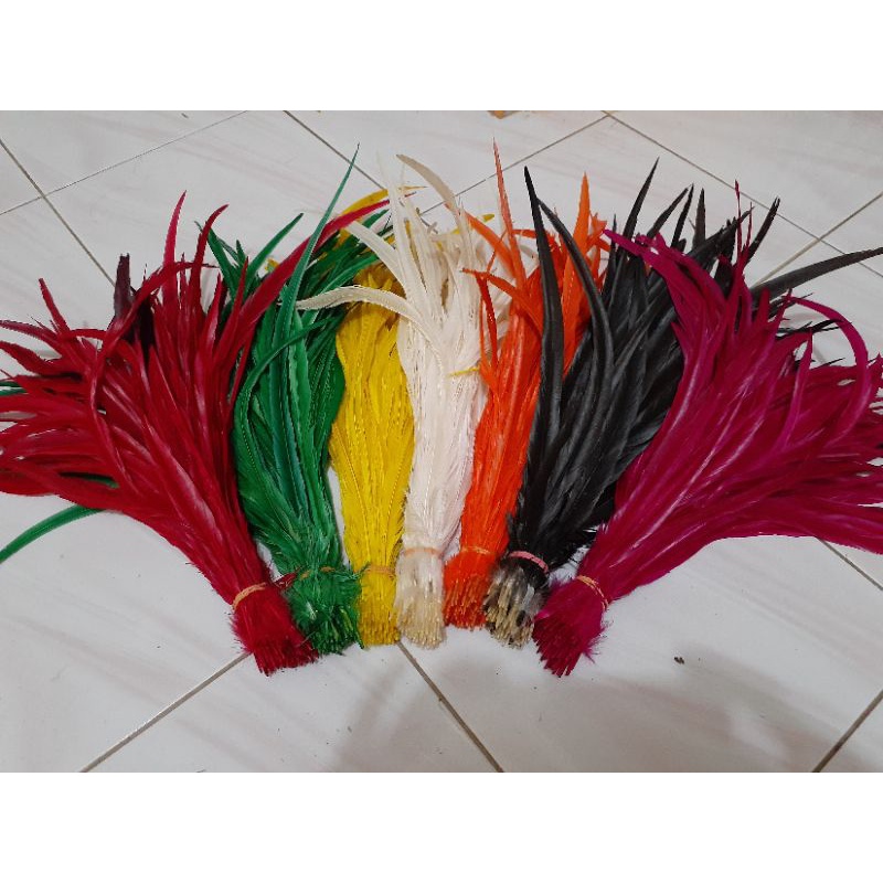 Bulu Lancur ayam jago