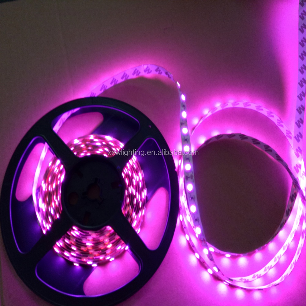 Lampu led strip 12V SMD 5050 3528 PINK MERAH MUDA 5M mata besar waterproof 5m hias plafon