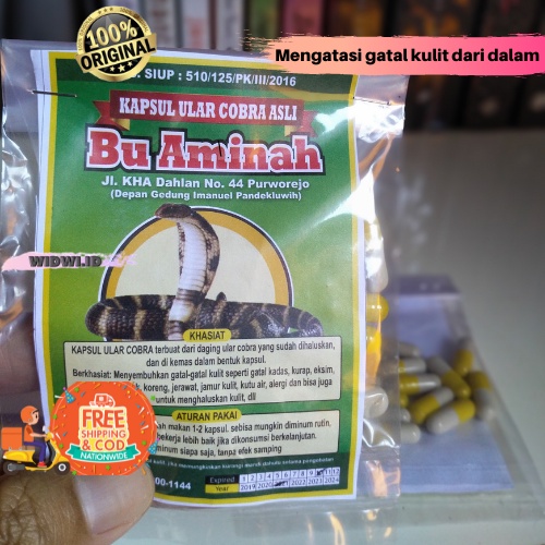 Kapsul Ular Cobra Obat Gatal Jamur Kulit