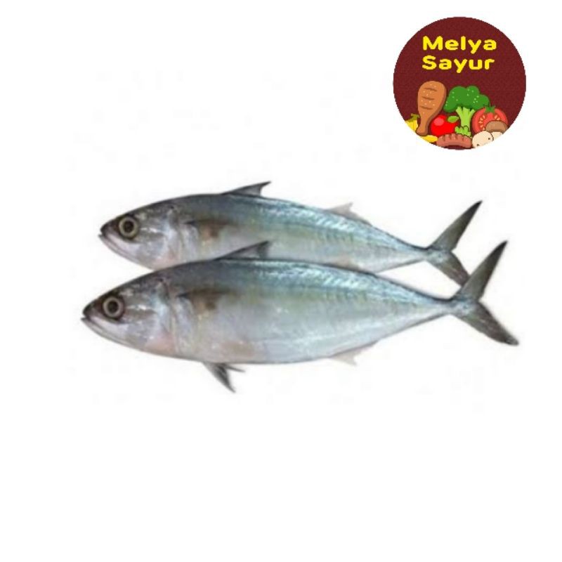 ikan segar - ikan layang segar 500gr - melyasayur