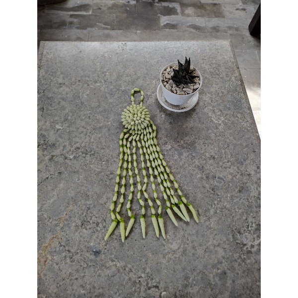 melati sultan kolong keris