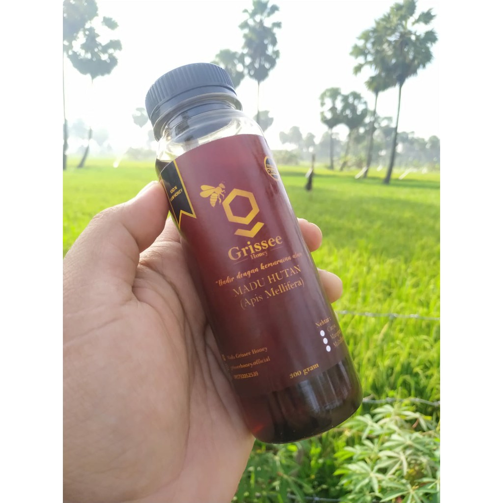 

madu hutan madu murni madu asli hutan sumatera lebah apis Mellifera