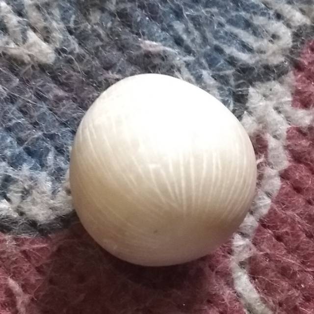 

Mutiara_kelapa (mantiko kelapa)