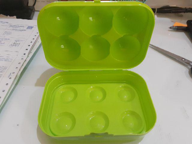 Tempat Telur Isi 6 Golden Sunkist