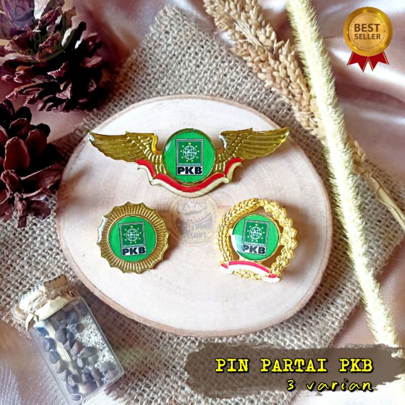 PIN PARTAI PKB