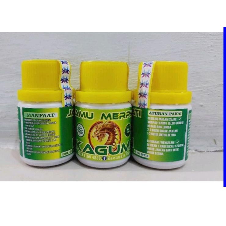 Terlaris.. Kagumi jamu merpati player jamu kagumi kuning