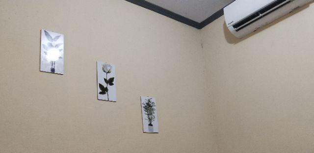 Media Hiasan Dinding Poster Kayu Leaf Dekorasi Rumah 15x30 Lf 22