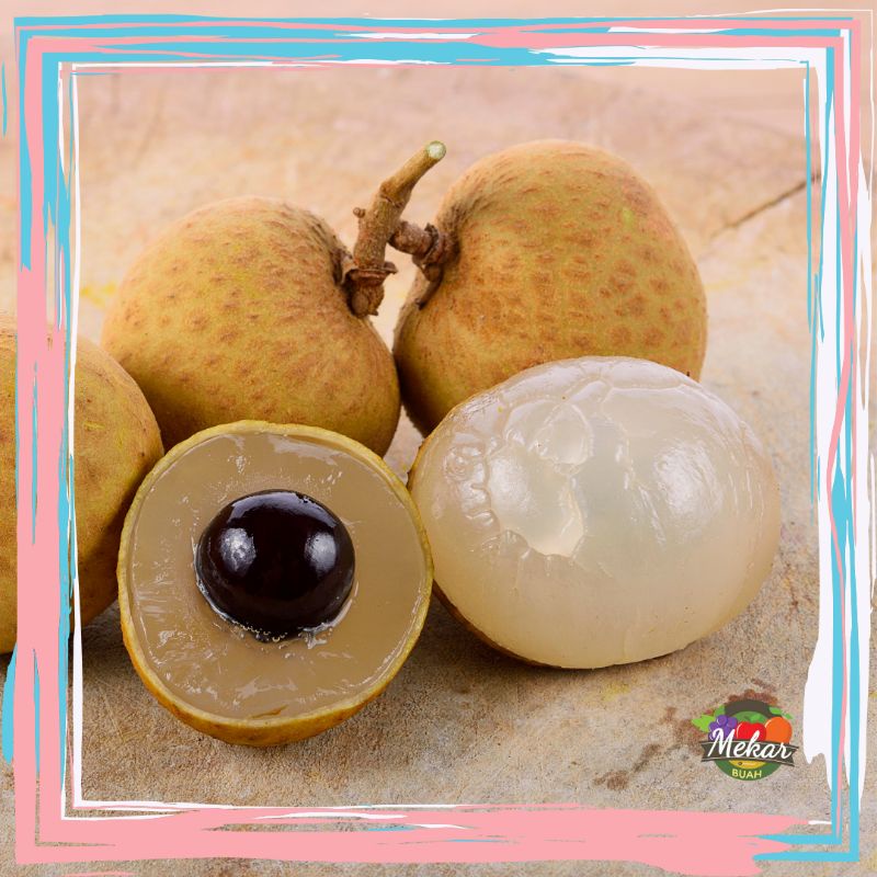 

Lengkeng fresh Thailand manis