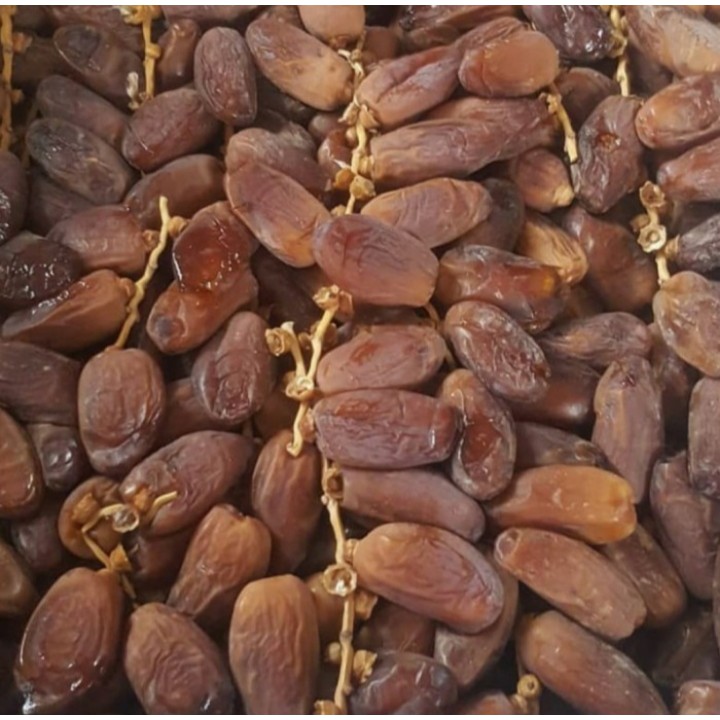 

Kurma tangkai tunis palm frutt 500gr