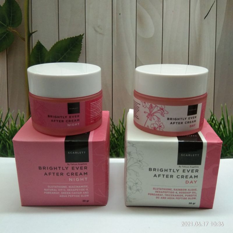 SCARLETT BRIGHTLY EVER AFTER DAY CREAM &amp; NIGHT CREAM