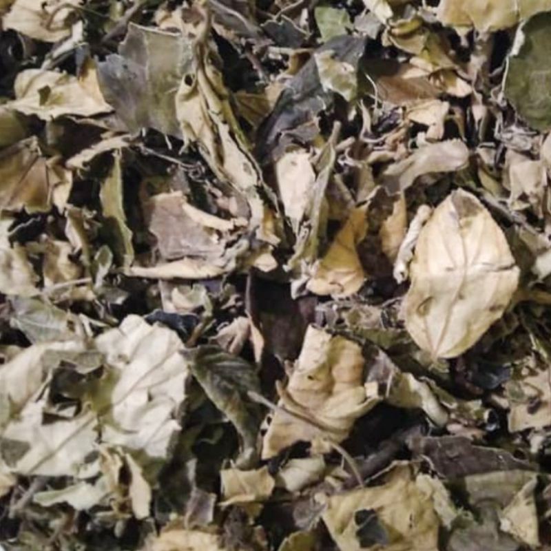 

Daun Bidara Kering Wangi Premium Wedang JSR