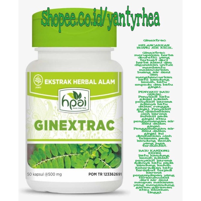 Ginextrac HNI-HPAI/Herbal-Obat Batu Ginjal