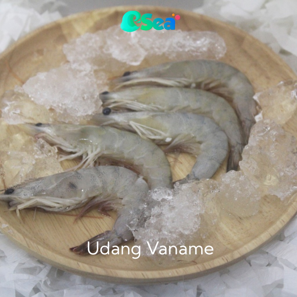 

Udang Vaname Segar PREMIUM Medium Size 250g