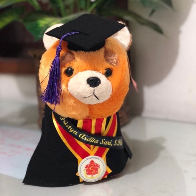 Boneka wisuda anjing/boneka wisuda doggy/boneka graduation doggy