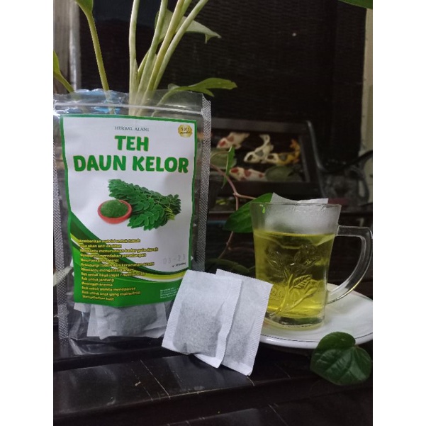 

herbal alami || Teh daun kelor