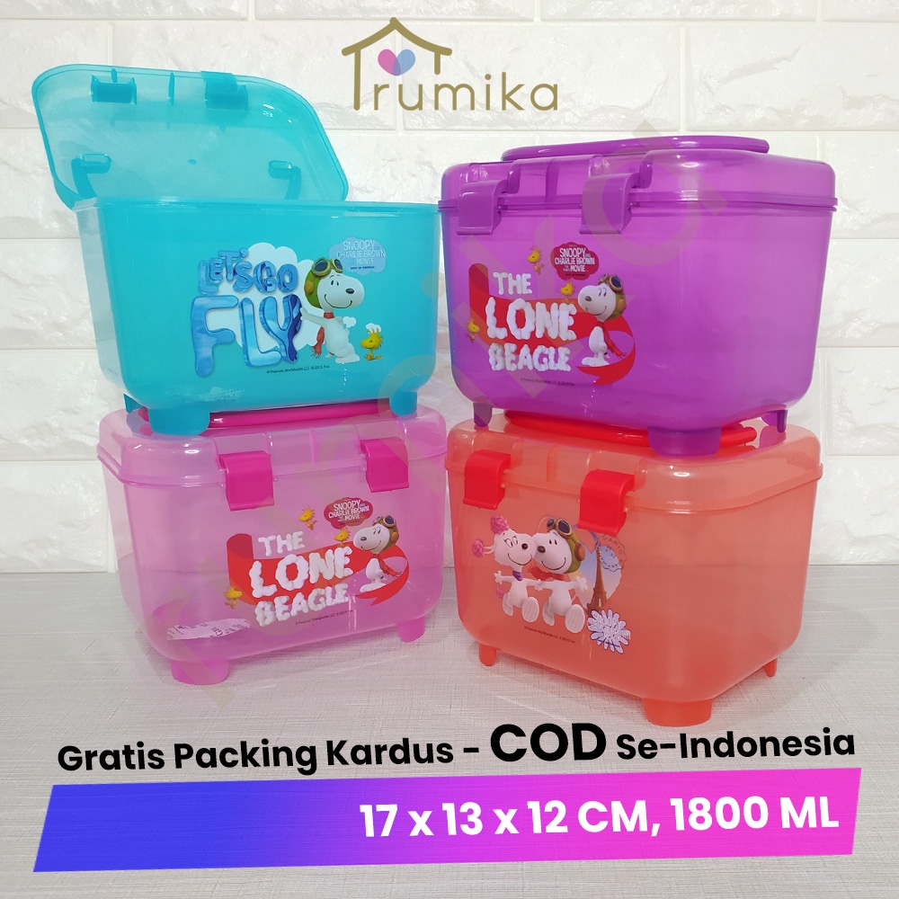 Container Mini Box Serbaguna - Goodie Bag Souvenir Ulang Tahun