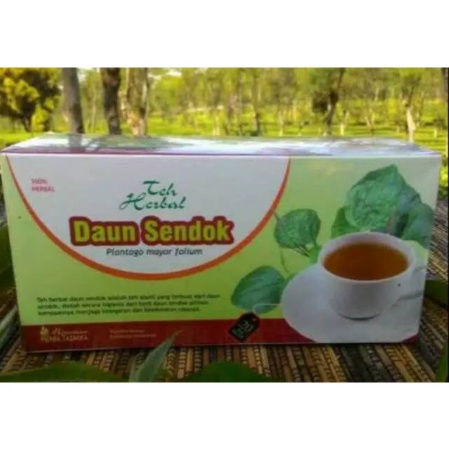 Teh Celup Daun Sendok Obat herbal khasiat ampuh mengobati asam urat rematik nyeri sendi pegal linu teh daun sendok tazakka asli 100% herbal