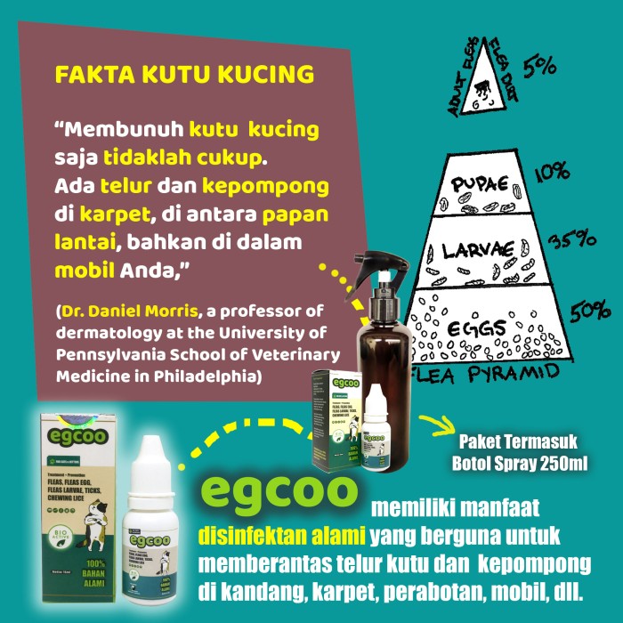 EGCOO - Pembasmi Kutu Kucing di Rumah Obat Hewan Kucing Aman dan Ampuh