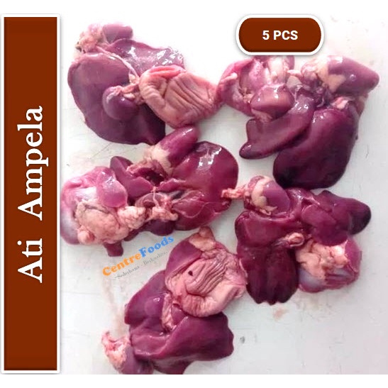 

Ati Ampela - Hati Empedal Ayam Fresh | Isi 5 Pcs [ Harga Per BKS ]