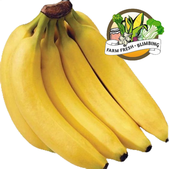 

Pisang cavendish 500gr