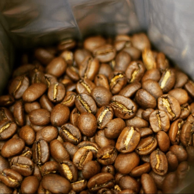 

Biji kopi roasting arabika gayo