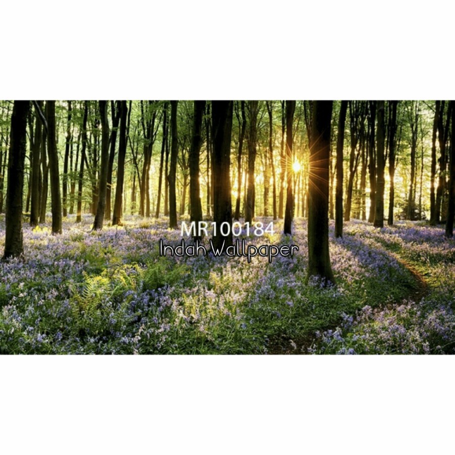 Photowall Mural 3D Wallpaper Dinding Mural Visual Hutan Kayu 3D Tropical