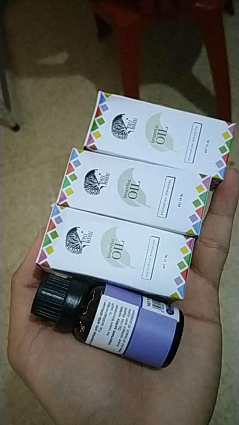 Essential Oil - 15ml By Tree House - Aromatherapy - Aromaterapi - Untuk Diffuser / Humidifier Lg